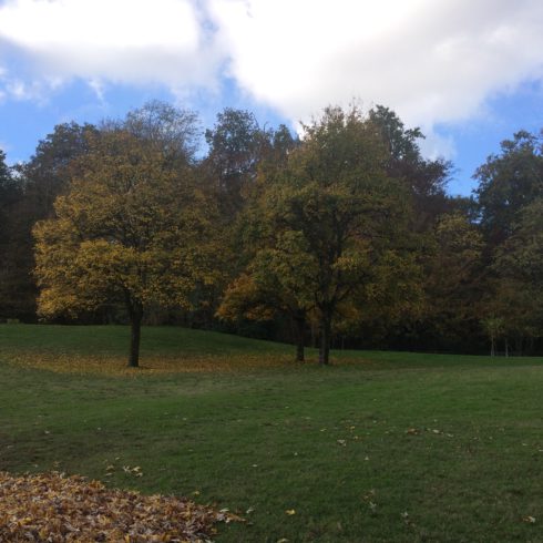 Automne dans le parc de notre hôtel