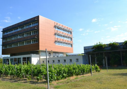 hôtel de Guyenne côté parc